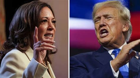 polymarket trump vs harris