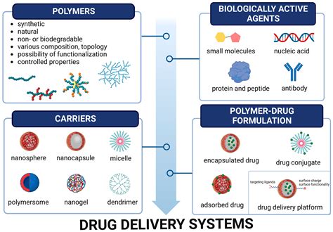 polymers in drug delivery polymers in drug delivery Epub