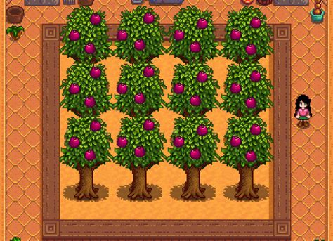 pomegranate tree stardew