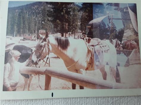 ponderosa ranch nv horseback riding 1970s