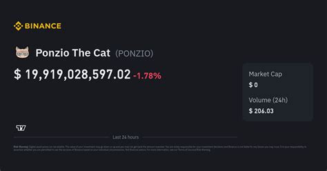 ponzio the cat to usdt