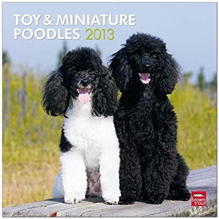 poodles toy and miniature 2013 square 12x12 multilingual edition Doc