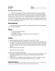 pop it bead enzyme activity answer key