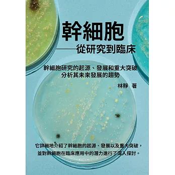 popo 中文：深入剖析其起源、發展和影響