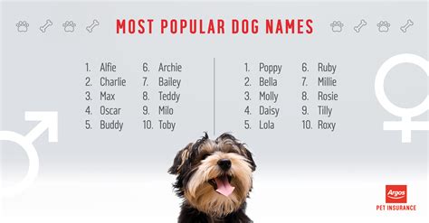 popular dog names