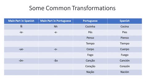 portuguese and spanish similarities