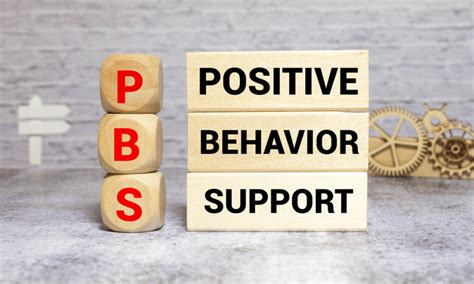 positive behaviour support video