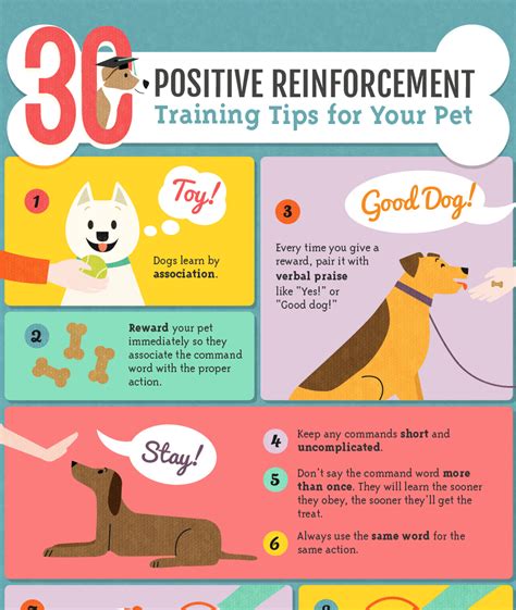 positive reinforcement dog training