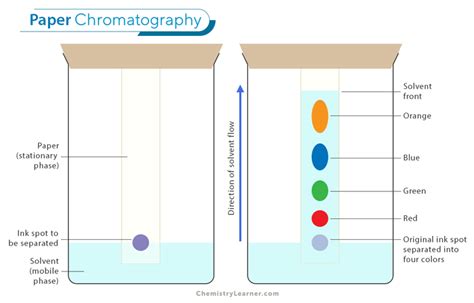 possible applications for paper chromatography Epub