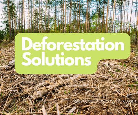 possible solutions deforestation Kindle Editon