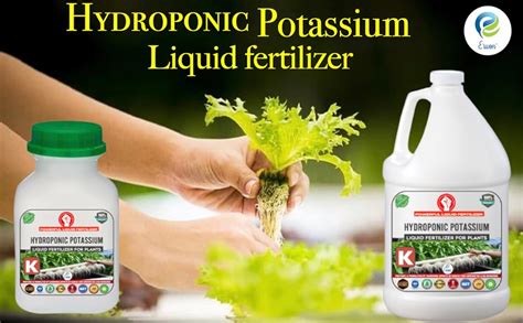 potassium fertilizer for plants