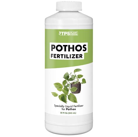 pothos fertilizer