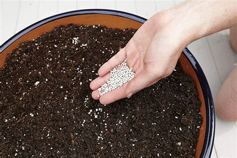 potting soil with fertilizer