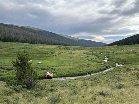 poudre valley r e a