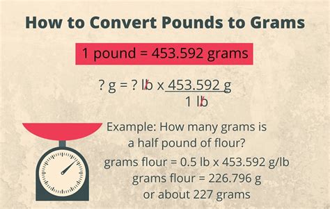 pounds into grams conversion