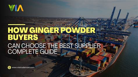 powder buyers guide 2012 PDF