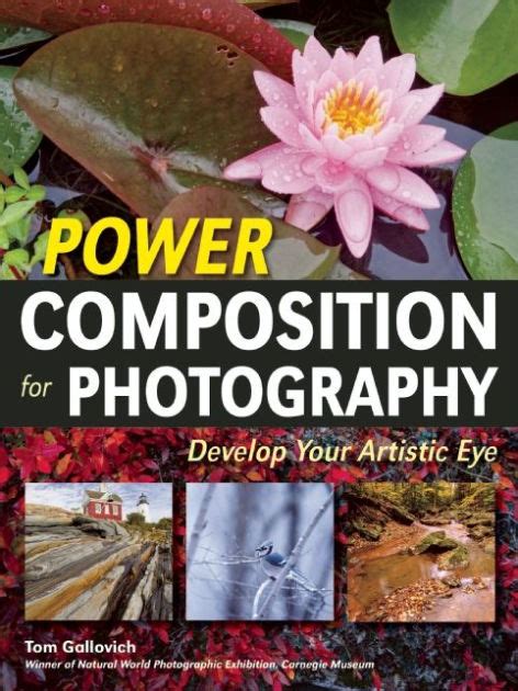 power composition for photography develop your artistic eye Doc