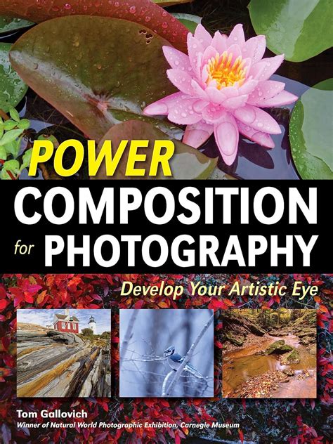 power composition for photography develop your artistic eye Doc