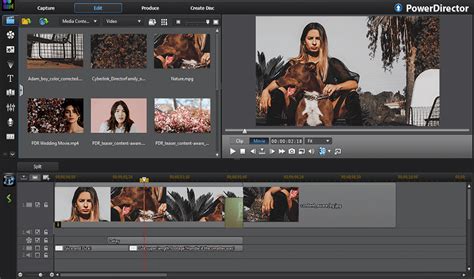 powerdirector 11 user guide Reader