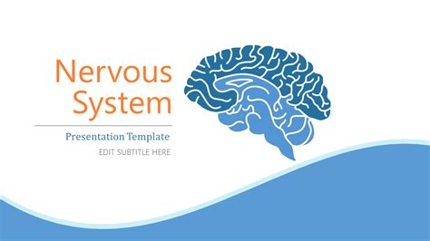 powerpoint template nervous system Doc