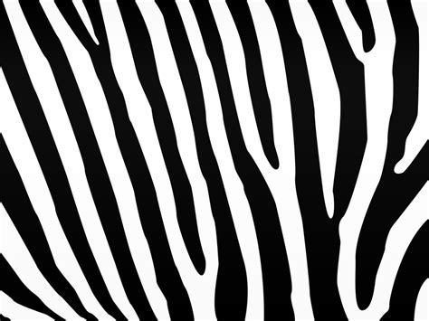 powerpoint templates zebra print Kindle Editon