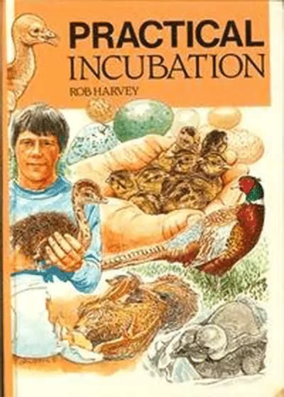 practical incubation Epub