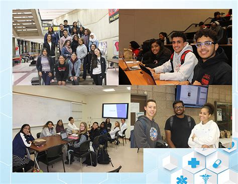 pre med at rutgers