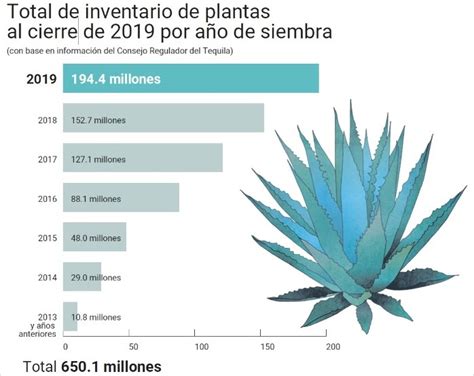 precio del agave para 2025