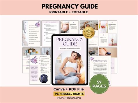 pregnancy guide free ebook Doc