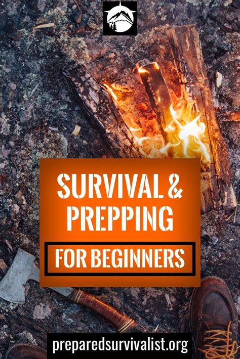 prepping hacks beginner tips to survive almost anything Epub