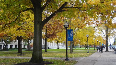 prepscholar university of michigan