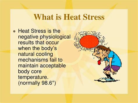 presentation on thermal stress PDF