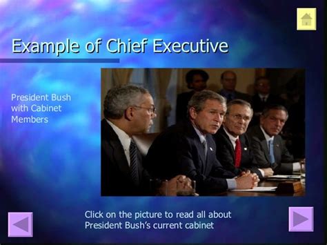 president chief executive examples
