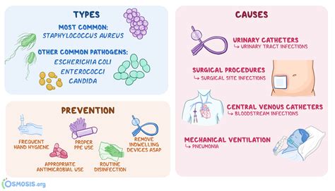prevention and control of nosocomial infections Epub