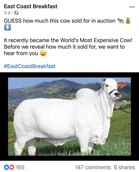 price of a cow