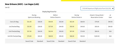 price to check bags on spirit