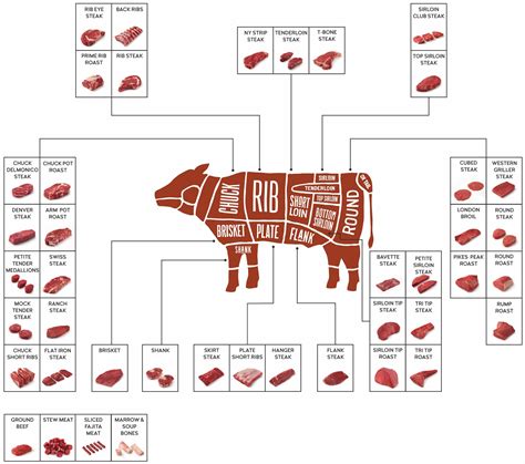 Primal Cuts Of Beef Chart