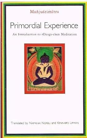 primordial experience an introduction to rdzogs chen meditation Epub