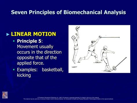 principles of biomechanics and motion analysis Epub