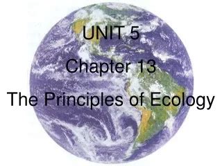 principles of ecology chapter 13 Doc