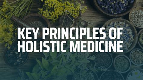 principles of holistic medicine principles of holistic medicine PDF