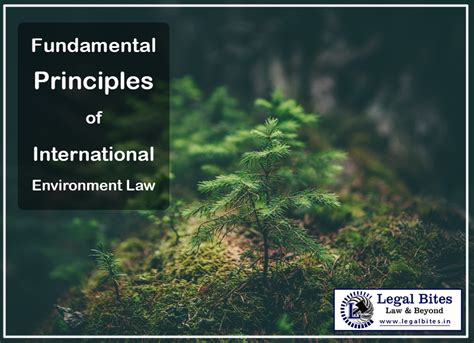 principles of international environmental law principles of international environmental law Kindle Editon