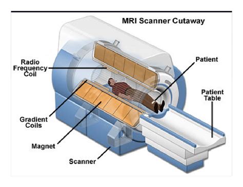 principles of magnetic resonance imaging solution Doc