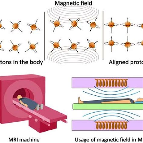 principles of magnetic resonance imaging solution Doc