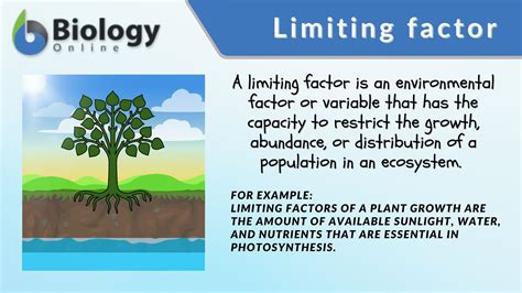 principles of plant science environmental factors Kindle Editon