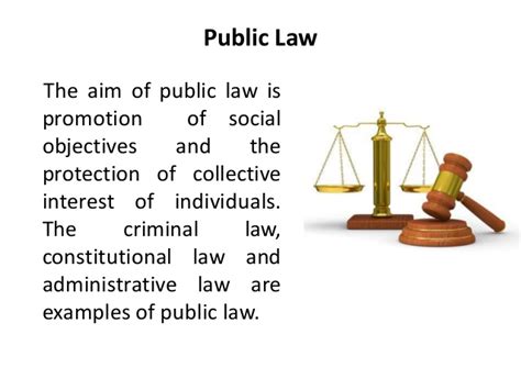 principles public law constitutional administrative PDF