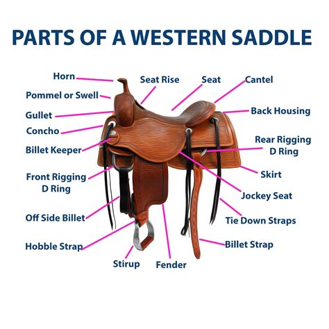 printable parts of a western saddle