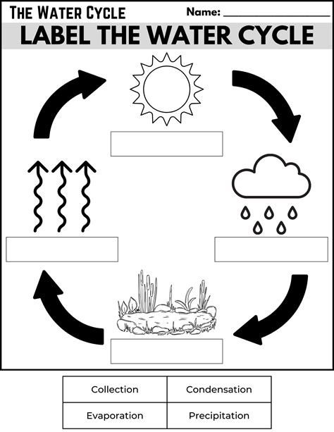 Printable Water Cycle Diagram