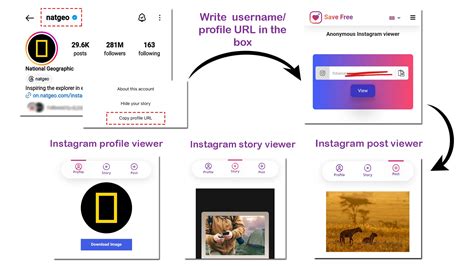 private profile viewer