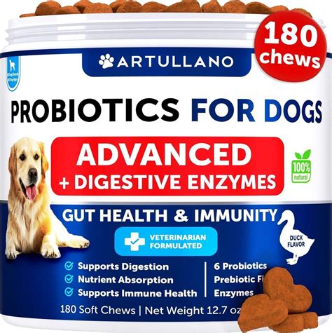 probiotics for dogs with diarrhea